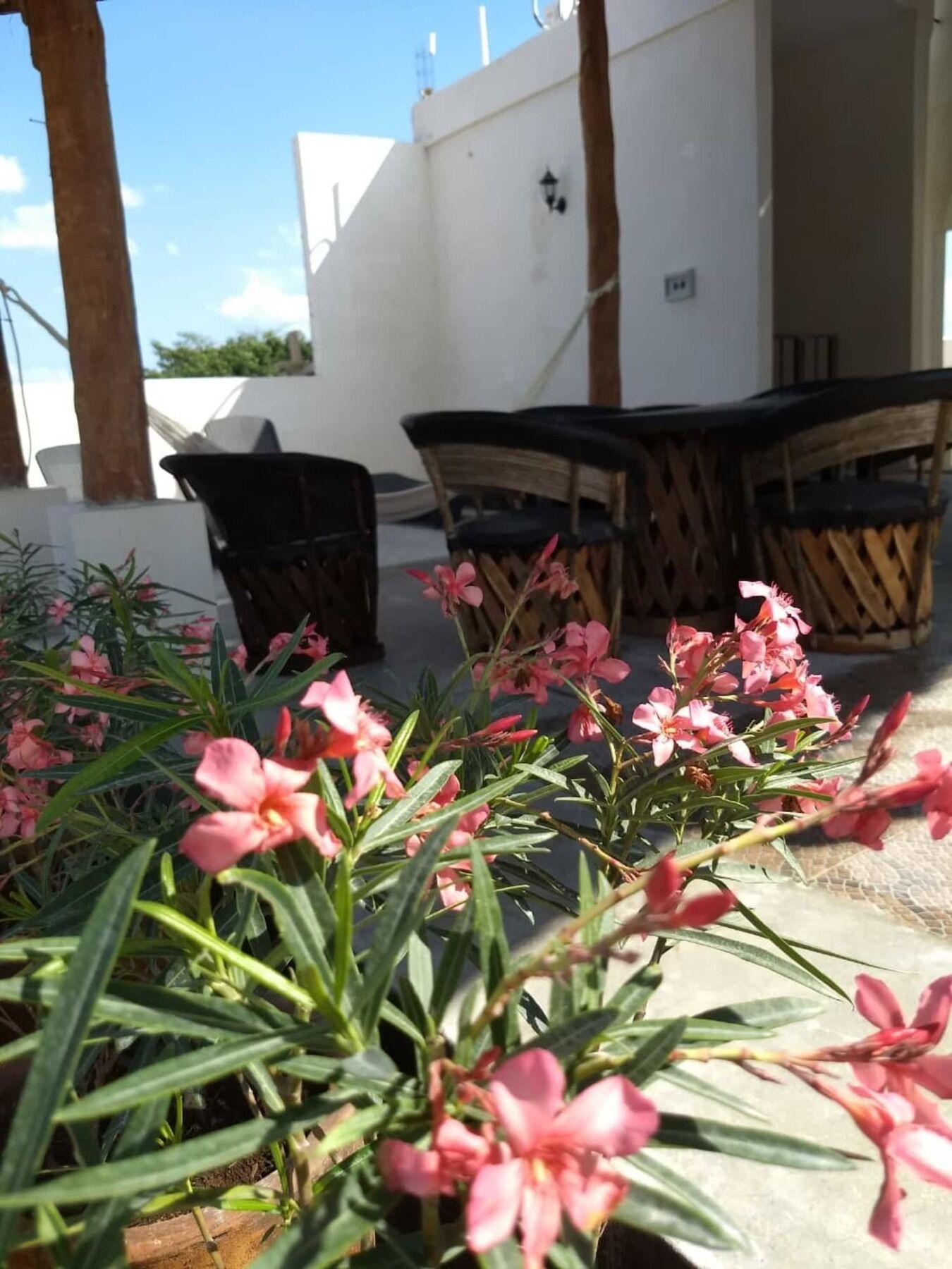Sol-Ha Tulum Hotel Boutique Eksteriør billede